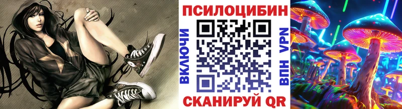 Псилоцибиновые грибы Cubensis  кракен как войти  Бологое 
